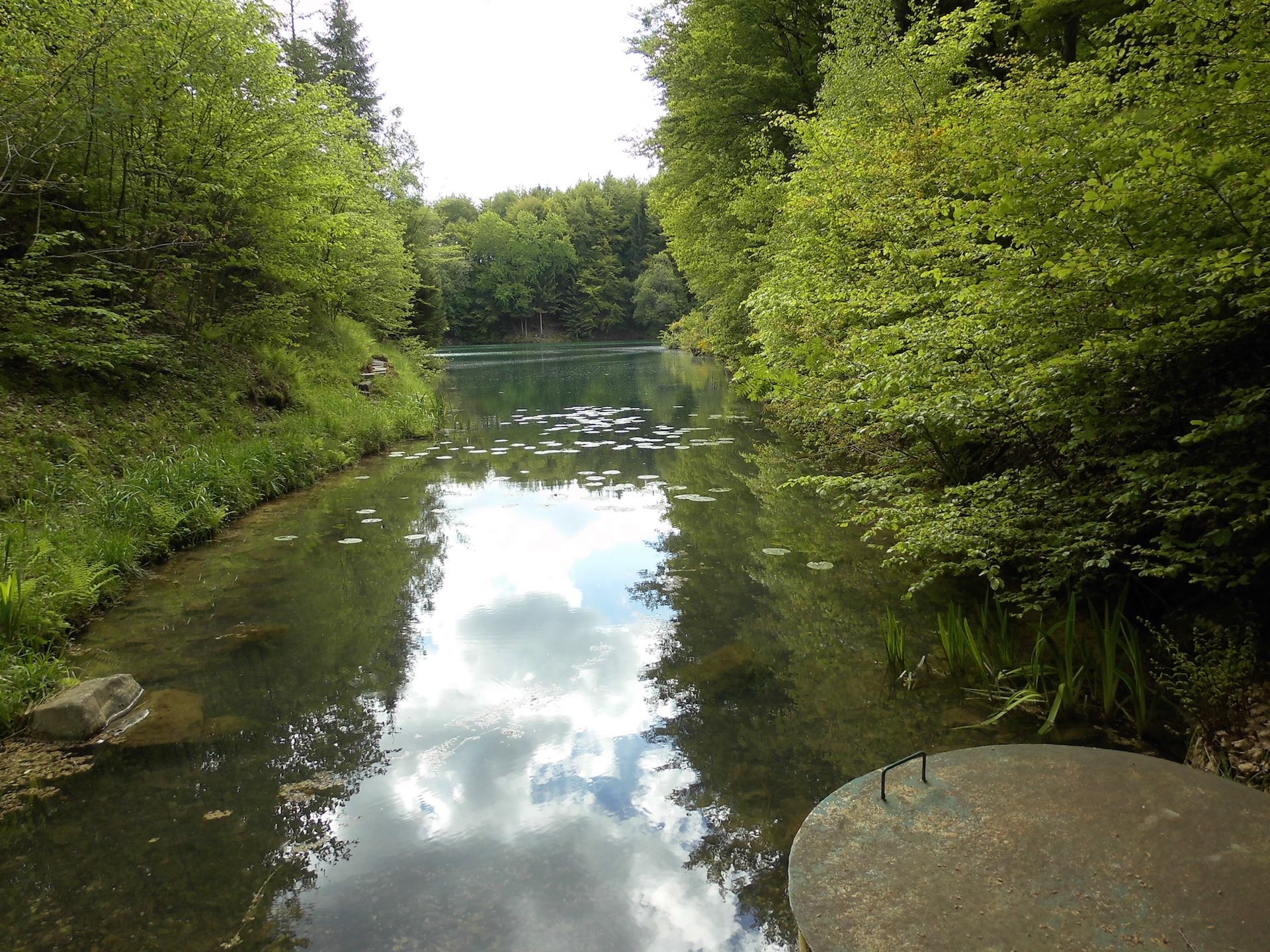Foto Angelweiher Flammersbach